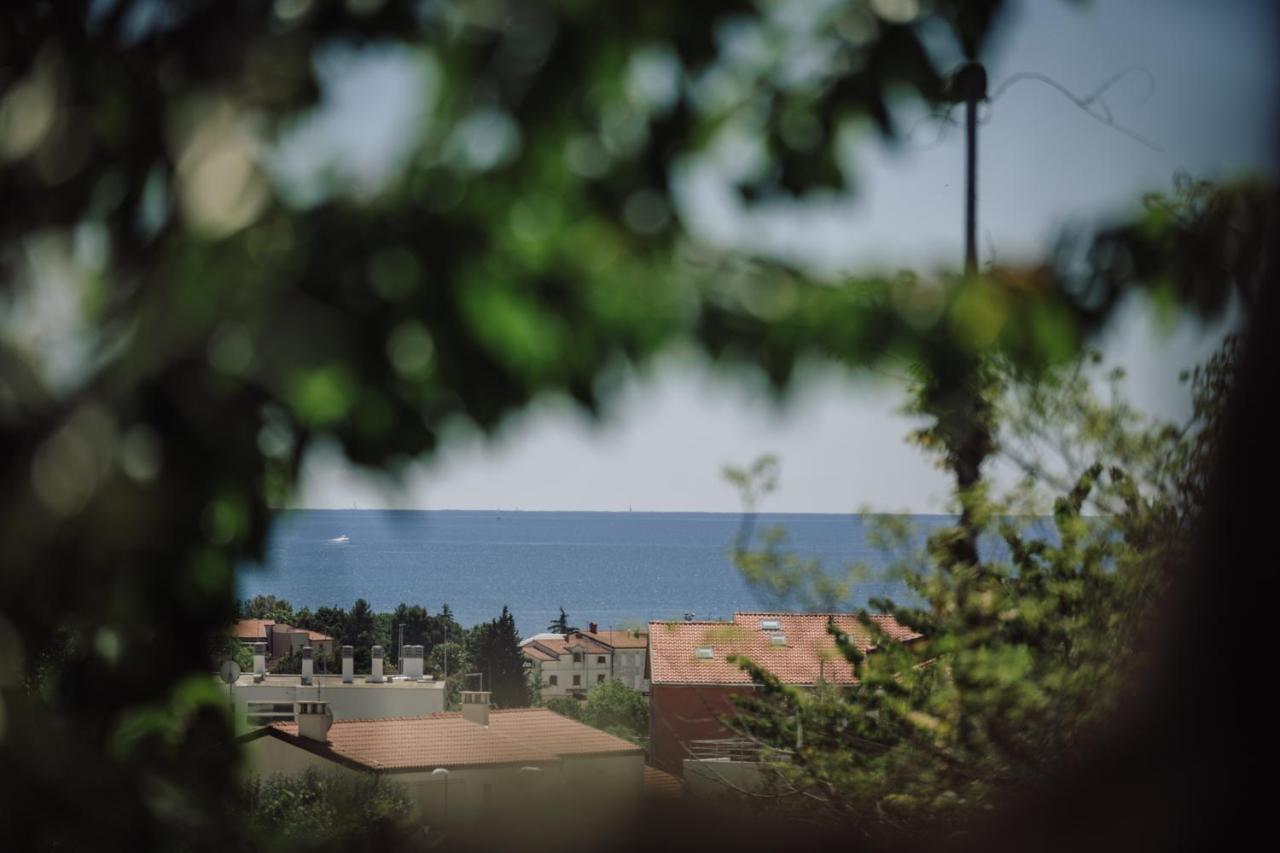 Belvedere Holidays Novigrad Istria 외부 사진
